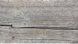 Photo Textures of Mixed Wood